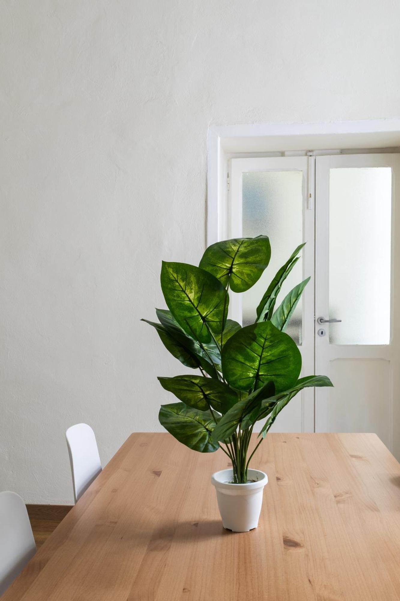 Appartamento Cozy Historical Flat Napoli Esterno foto