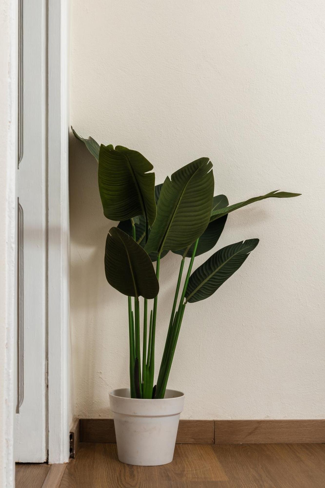 Appartamento Cozy Historical Flat Napoli Esterno foto